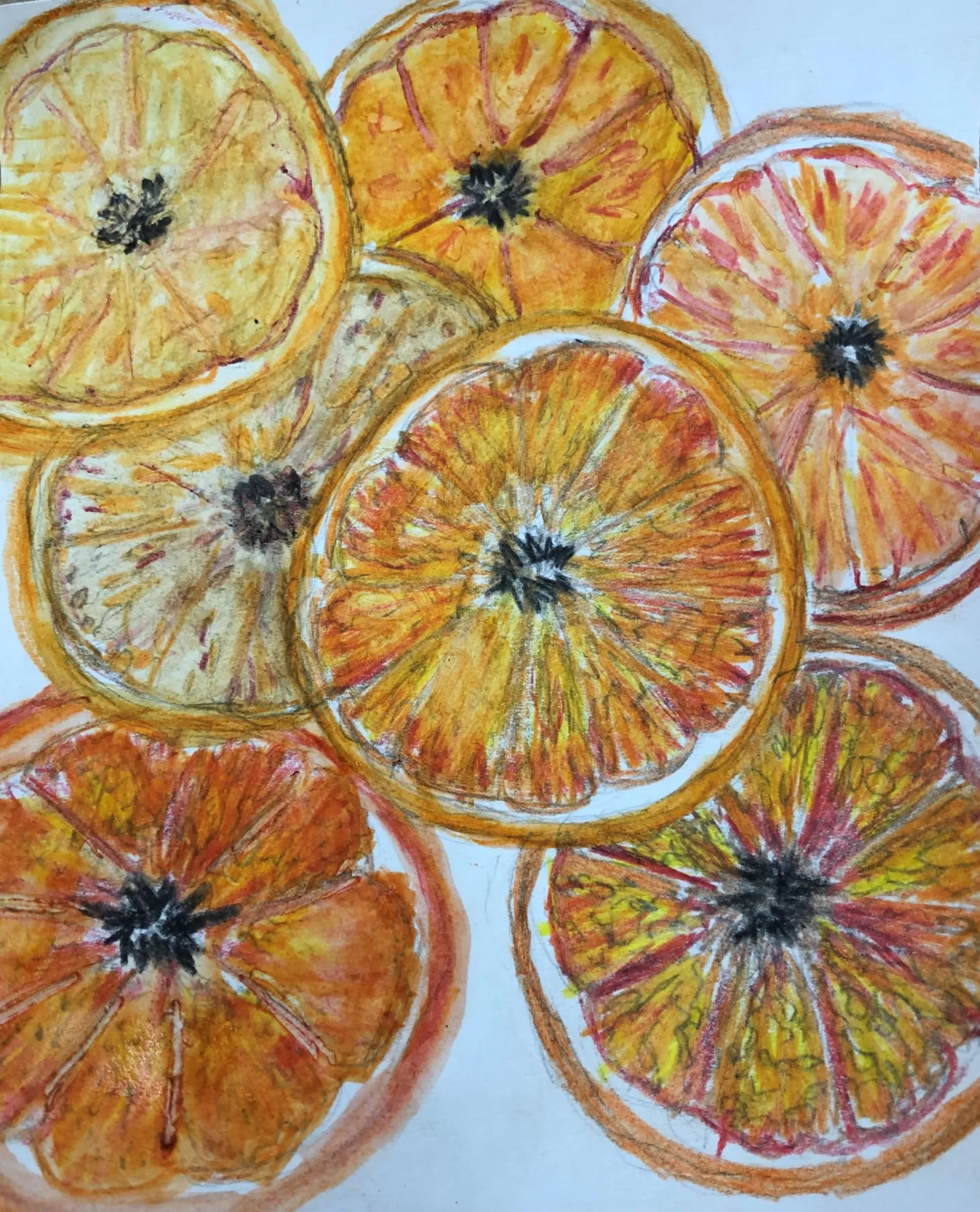 This piece is a watercolor pencil drawing of 7 overlapping circular slices of various types of oranges, colored in tones of red, orange, and yellow, with the rinds and juicy interior bits of the orange flesh easily seen as a part of each slice.