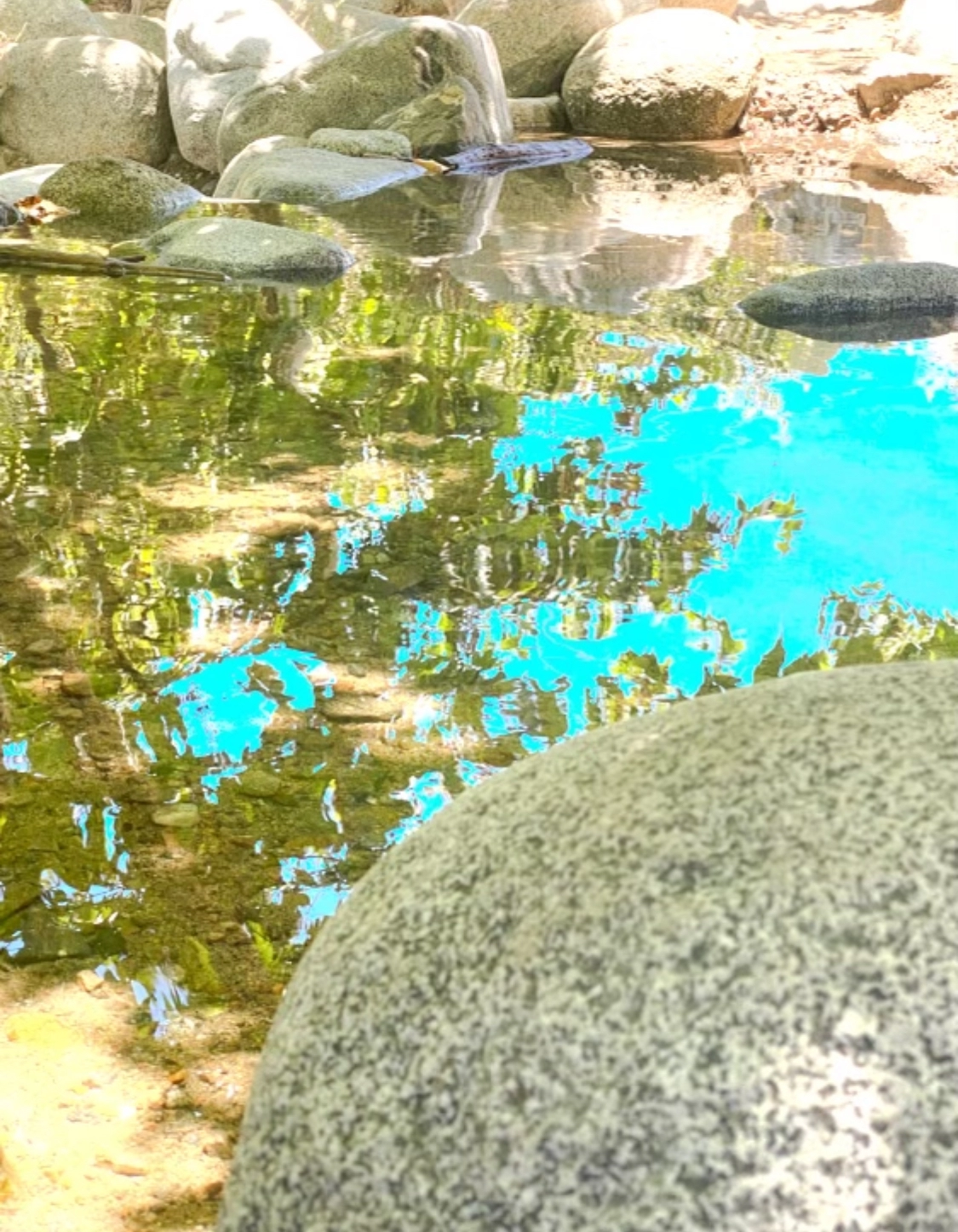 A photograph of still water banked by rocks that reflects a blue sky and a green tree.
