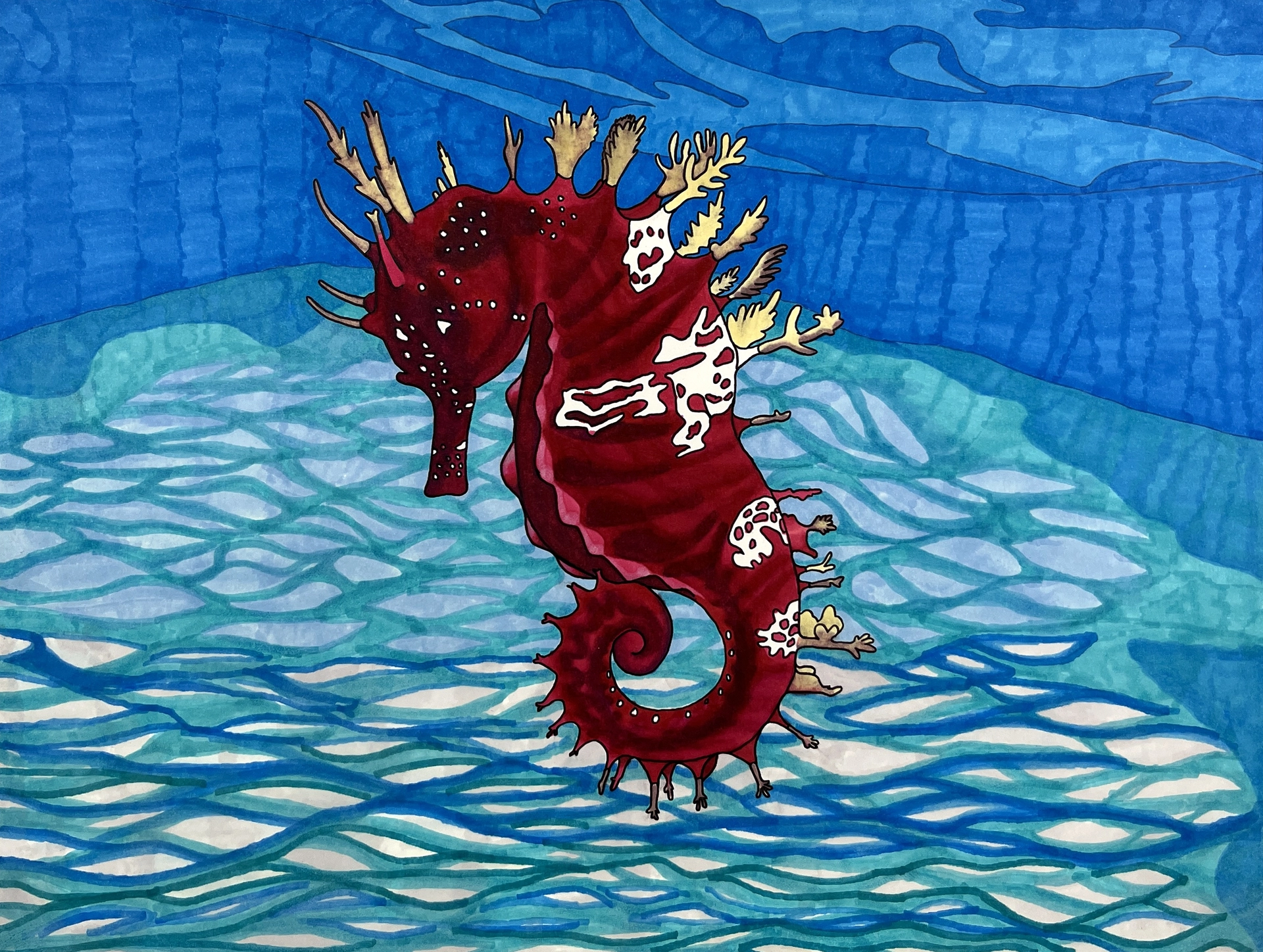 A realistic marker drawing shows a red seahorse in profile, floating in a clear blue sea. The seahorse has a curled tail, bent head, and ornate spines.